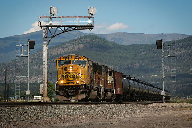 An example of a Xander photo An example of a Xander photo